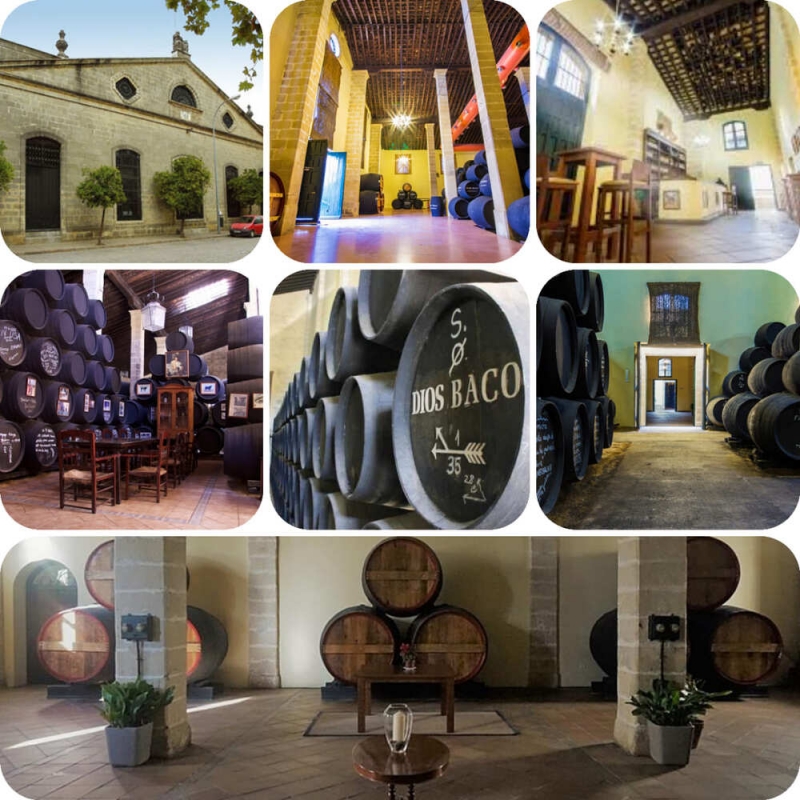 D Nde Puedo Ir De Enoturismo En Jerez Bodega Dios Baco Catadelvino